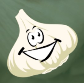 Washington State Garlic Fest - Aug 22, 23, 24, 2025 - Centralia, WA
